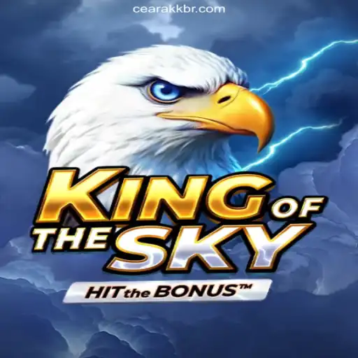 Exploring the Thrilling World of KingOfTheSky