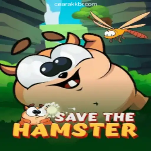 Discover 'SavetheHamster': A Thrilling Adventure Game Embodied in CearaKK's Favorite Online Casino